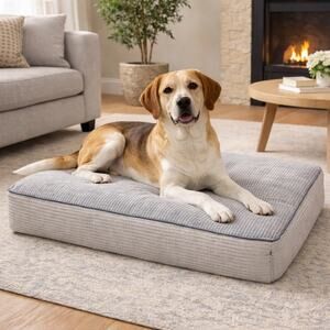 Soft Orthopedic Dog Bed, Elevated 4" Cushion - Machine Washable, Medium